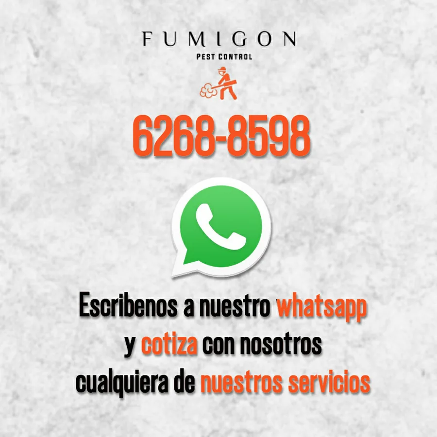 Fumigón Panamá: escríbenos a nuestro WhatsApp 6268-8598 y cotiza con nosotros
